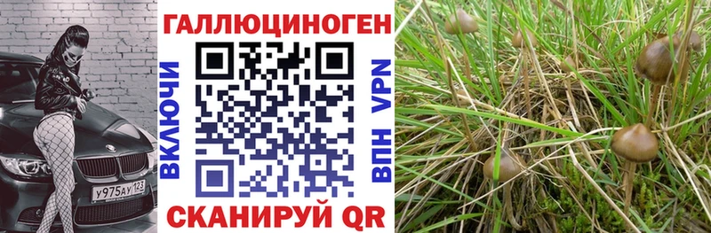 Псилоцибиновые грибы MAGIC MUSHROOMS  Купить  Елец 